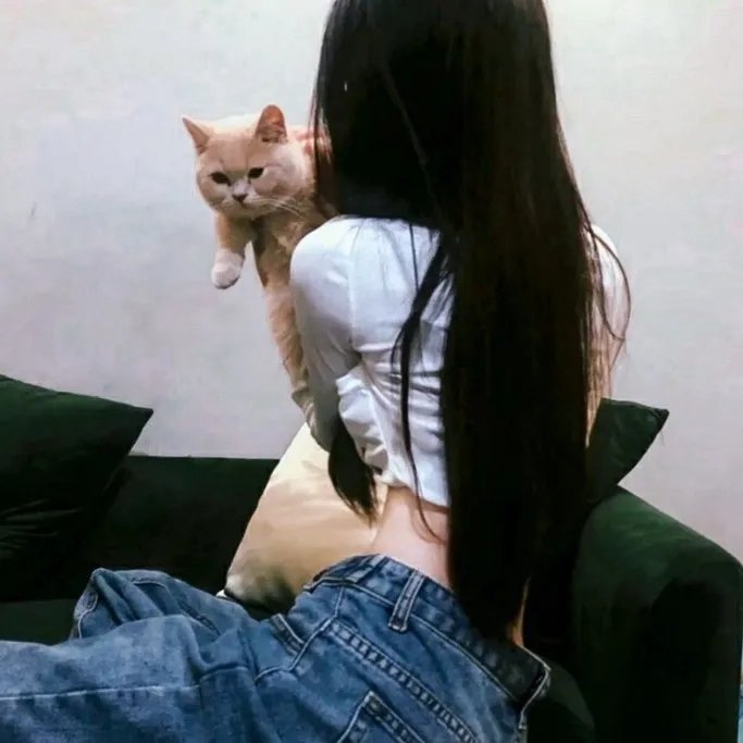 阴谋职场第二季